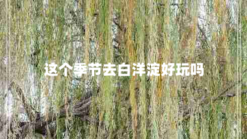 這個季節(jié)去白洋淀好玩嗎