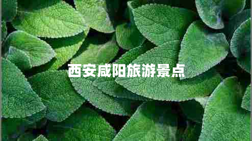 西安咸陽(yáng)旅游景點(diǎn) 西安咸陽(yáng)旅游景點(diǎn)