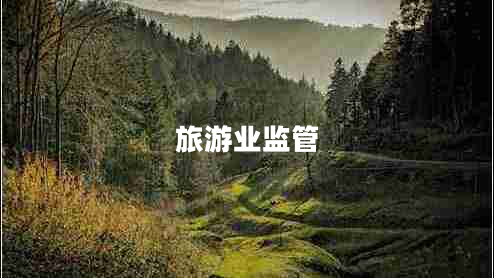 旅游業(yè)監(jiān)管