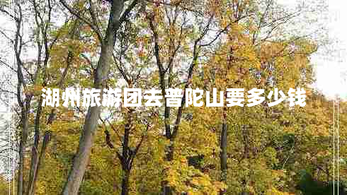 湖州旅游團(tuán)去普陀山要多少錢(qián)