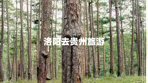 洛陽(yáng)去貴州旅游