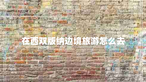 在西雙版納邊境旅游怎么去