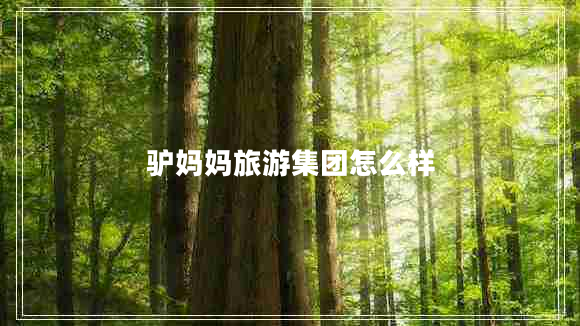 驢媽媽旅游集團(tuán)怎么樣