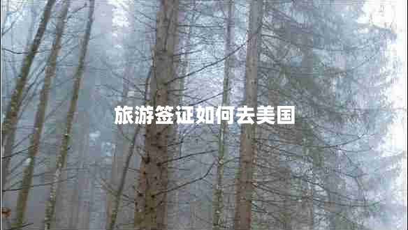 旅游簽證如何去美國(guó) 旅游簽證如何去美國(guó)