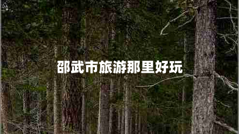 邵武市旅游那里好玩 邵武市旅游那里好玩