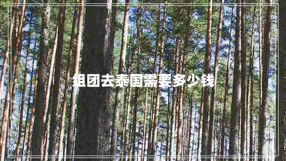 組團(tuán)去泰國需要多少錢