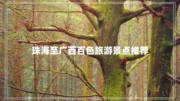 珠海至廣西百色旅游景點推薦