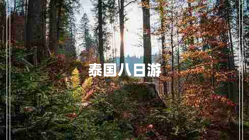 泰國(guó)八日游