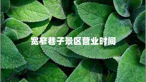 寬窄巷子景區(qū)營業(yè)時(shí)間