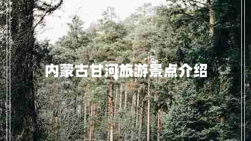 內(nèi)蒙古甘河旅游景點(diǎn)介紹