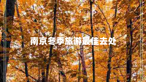 南京冬季旅游最佳去處 南京冬季旅游最佳去處