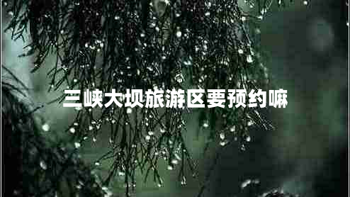 三峽大壩旅游區(qū)要預約嘛