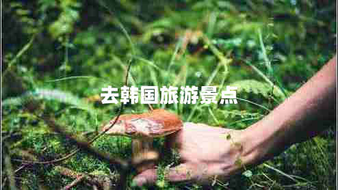 去韓國(guó)旅游景點(diǎn)