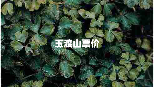 玉渡山票價(jià)