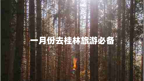 一月份去桂林旅游必備