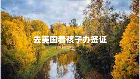 去美國看孩子辦簽證 去美國看孩子辦簽證