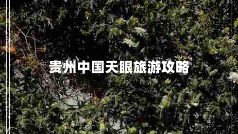 貴州中國天眼旅游攻略