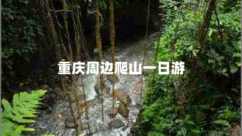 重慶周邊爬山一日游