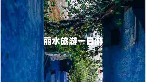 麗水旅游一日游 麗水旅游一日游