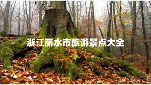浙江麗水市旅游景點(diǎn)大全