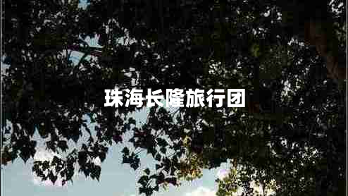 珠海長隆旅行團(tuán)