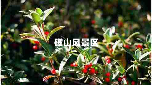 磁山風(fēng)景區(qū) 磁山風(fēng)景區(qū)