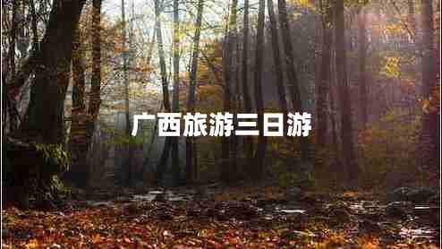 廣西旅游三日游 廣西旅游三日游