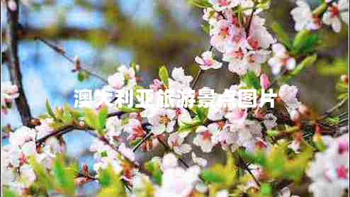 澳大利亞旅游景點(diǎn)圖片 澳大利亞旅游景點(diǎn)圖片