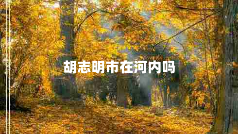 胡志明市在河內(nèi)嗎