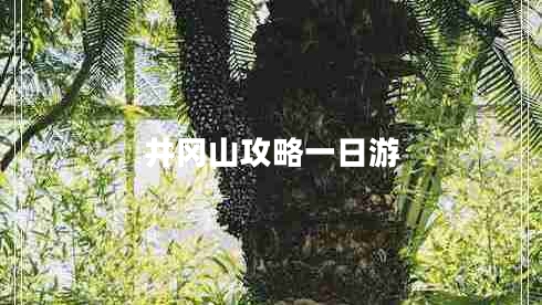 井岡山攻略一日游