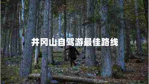 井岡山自駕游最佳路線 井岡山自駕游最佳路線