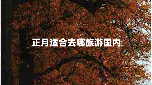 正月適合去哪旅游國內