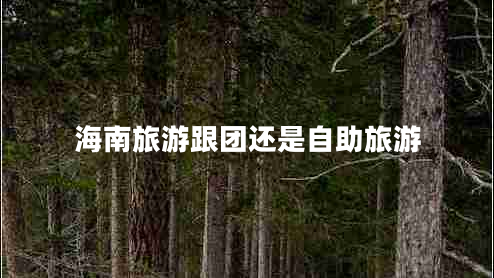 海南旅游跟團(tuán)還是自助旅游