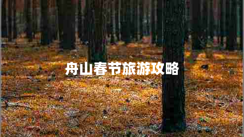 舟山春節(jié)旅游攻略