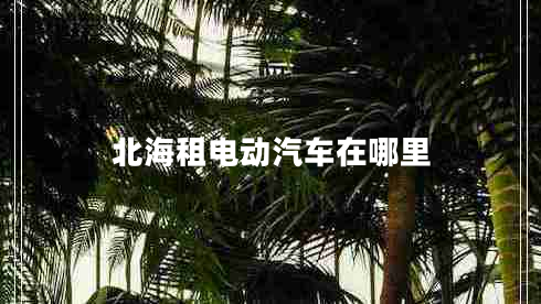 北海租電動汽車在哪里