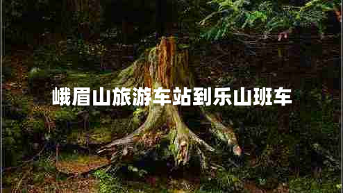 峨眉山旅游車站到樂山班車