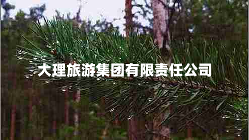 大理旅游集團(tuán)有限責(zé)任公司