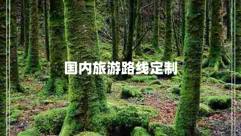 國內(nèi)旅游路線定制