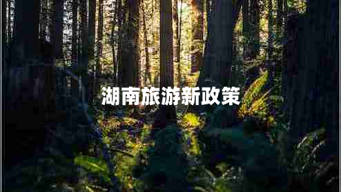 湖南旅游新政策