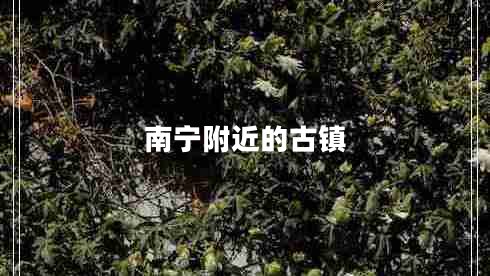 南寧附近的古鎮(zhèn) 南寧附近的古鎮(zhèn)