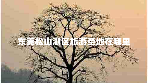 東莞松山湖區(qū)旅游圣地在哪里