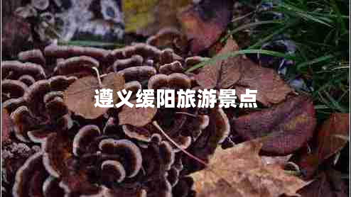 遵義緩陽旅游景點 遵義緩陽旅游景點