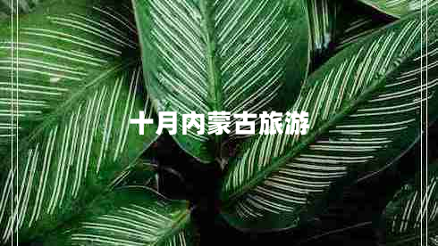 十月內(nèi)蒙古旅游