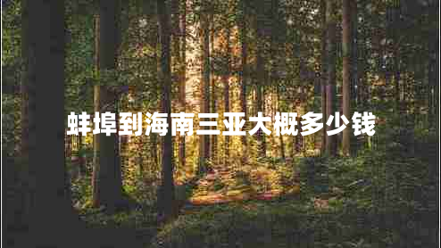 蚌埠到海南三亞大概多少錢