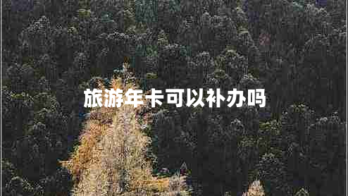 旅游年卡可以補(bǔ)辦嗎
