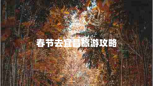 春節(jié)去宜昌旅游攻略