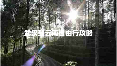 武漢到云南自由行攻略 武漢到云南自由行攻略