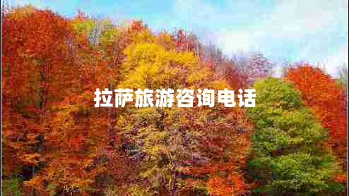 拉薩旅游咨詢(xún)電話(huà)