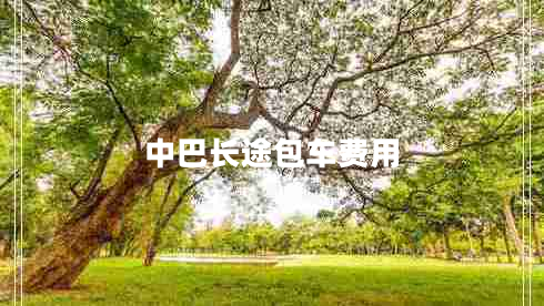 中巴長途包車費(fèi)用