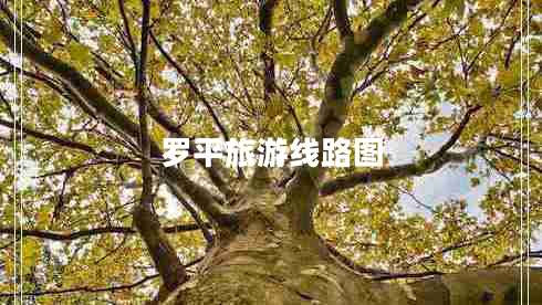 羅平旅游線(xiàn)路圖